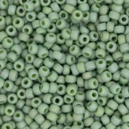 Miyuki rocailles Perlen 11/0 - Opaque glazed frosted pistachio green 11-4698